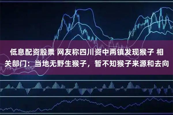 低息配资股票 网友称四川资中两镇发现猴子 相关部门：当地无野生猴子，暂不知猴子来源和去向