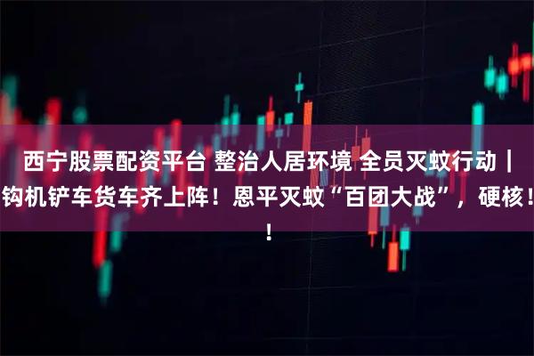 西宁股票配资平台 整治人居环境 全员灭蚊行动｜钩机铲车货车齐上阵！恩平灭蚊“百团大战”，硬核！