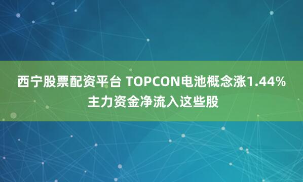 西宁股票配资平台 TOPCON电池概念涨1.44% 主力资金净流入这些股